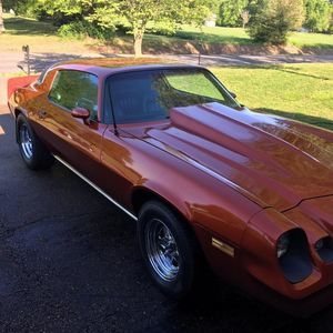 Meet your Posher, Rod kat